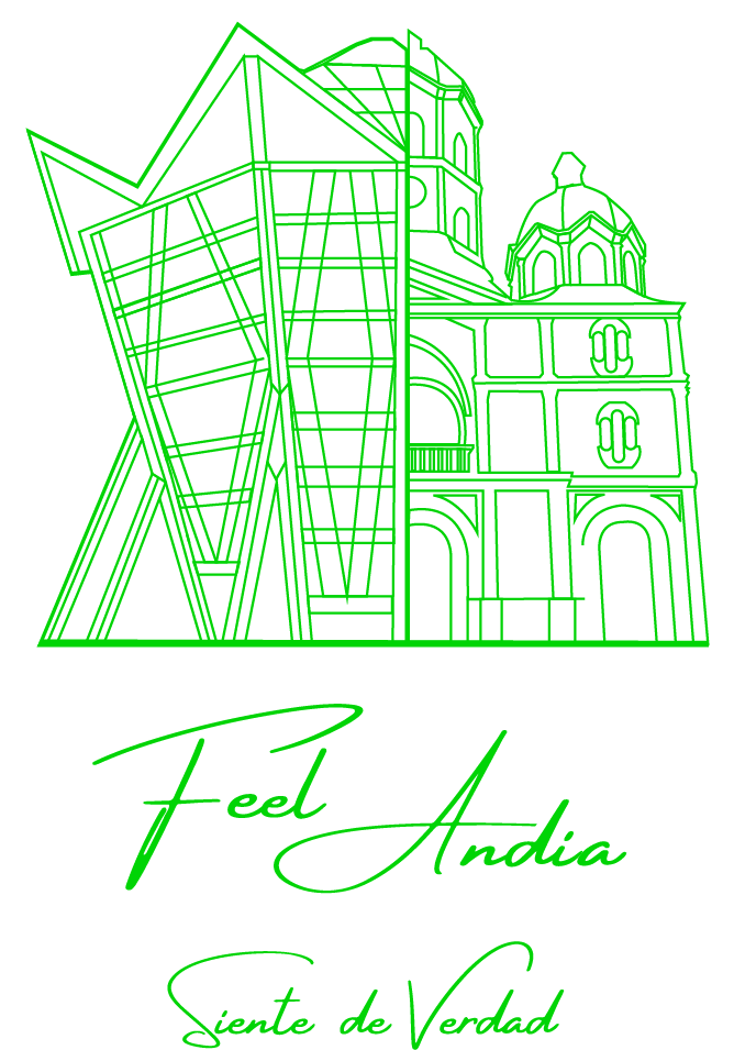 Feel Andia